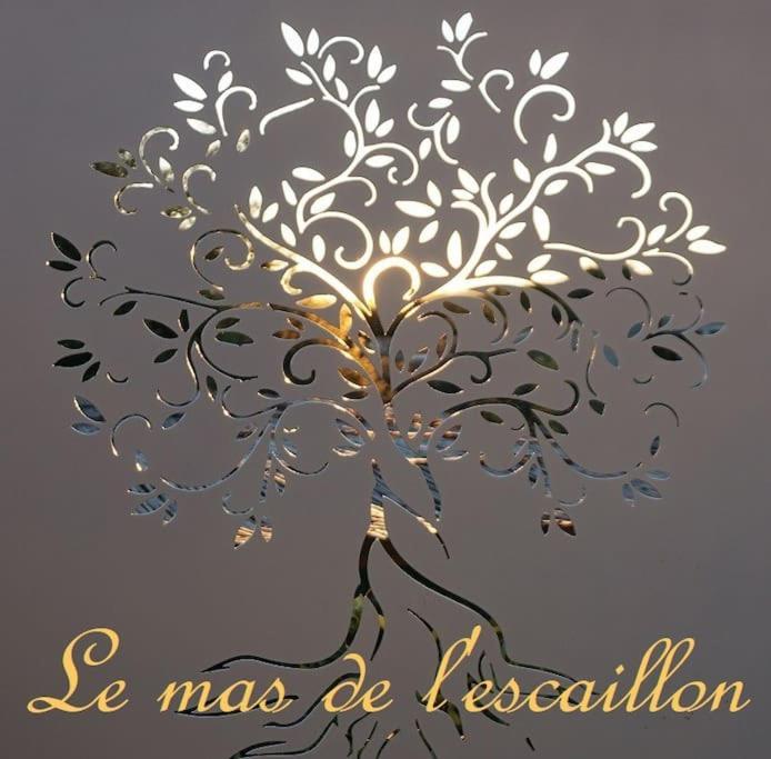 Le Mas De L'Escaillon 圣萨蒂南艾普特 外观 照片